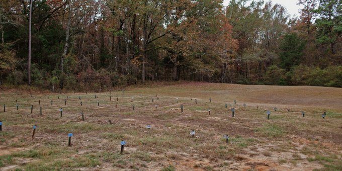 کشف اجساد ۲۱۵ نفر در گورهای بینشان نزدیک یک زندان ایالتی آمریکا/ کشف اجساد ۲۱۵ نفر در گورهای بینشان نزدیک یک زندان ایالتی آمریکا/