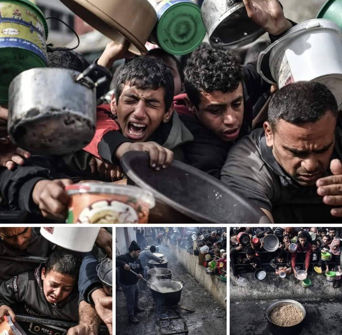 مواجهه ۸۰۰ هزار نفر از ساکنان غزه با قحطی و خطر مرگ مواجهه ۸۰۰ هزار نفر از ساکنان غزه با قحطی و خطر مرگ