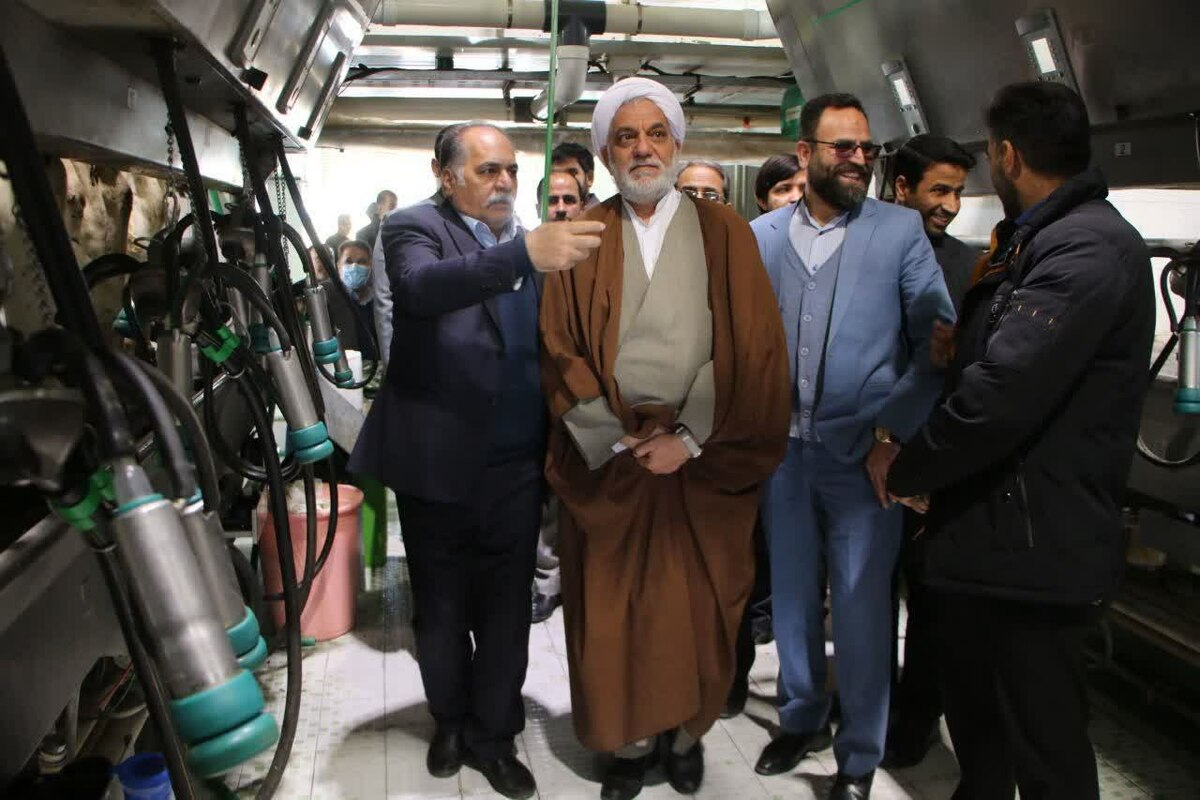 مشکلات شرکت کشت و صنعت هامون در ستاد اقتصاد مقاومتی استان کرمان رسیدگی شد