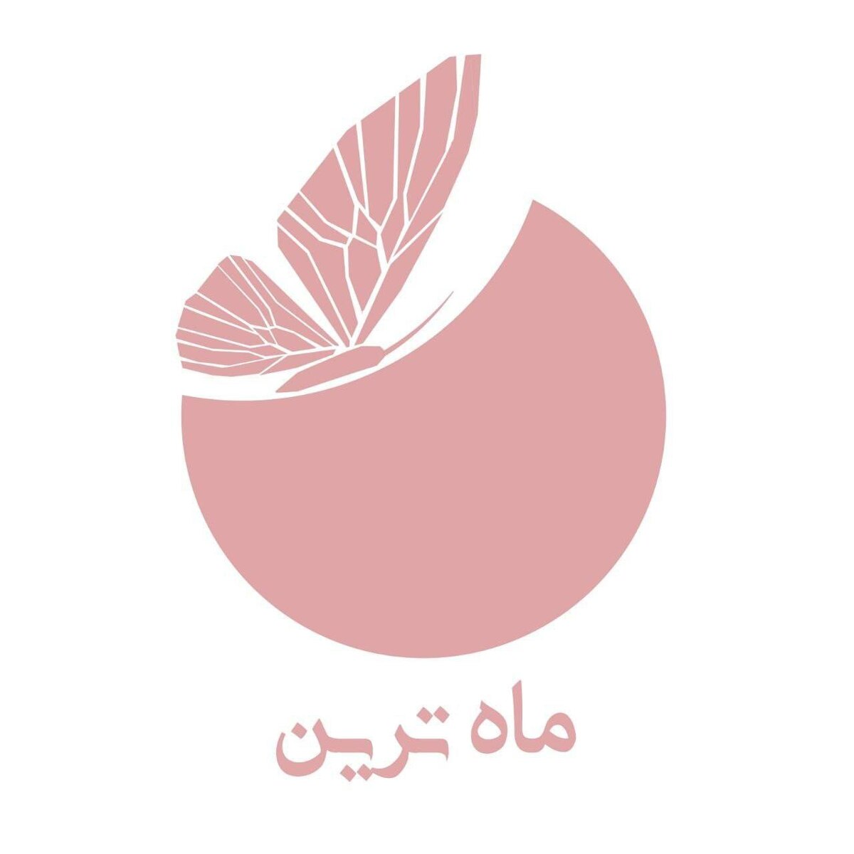 «ماه‌ترین» مجله تخصصی بارداری؛ از قاب شبکه دو