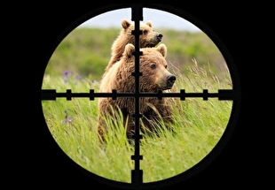 آیین‏‌نامه اجرایی قانون شکار و صید ۱۳۹۸ + اصلاحات