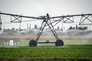 توجه ویژه برنامه هفتم توسعه به بخش کشاورزی