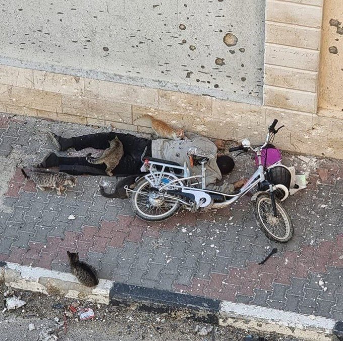 نگاهی به جنگ غزه در چهارمین ماه از دریچه آمار؛ تخریب هدفمند ساختمان‌های مسکونی و کوچاندن اجباری