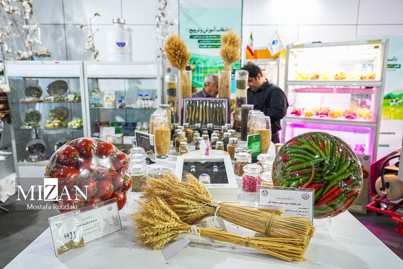 بازخوانی یک کارنامه ۴۵ ساله؛ پیشرفت‌های انقلابی با عبور از کارشکنی‌ها و تحریم‌ها