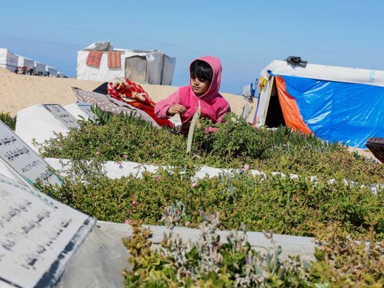 وضعیت بحرانی آوارگان غزه؛ از حملات رژیم صهیونیستی تا زندگی در گورستانها وضعیت بحرانی آوارگان غزه؛ از حملات رژیم صهیونیستی تا زندگی در گورستانها