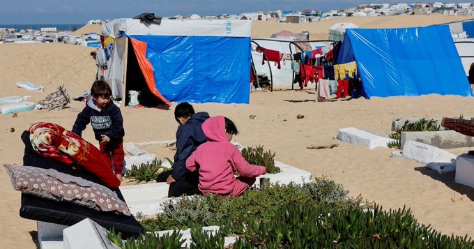 وضعیت بحرانی آوارگان غزه؛ از حملات رژیم صهیونیستی تا زندگی در گورستانها وضعیت بحرانی آوارگان غزه؛ از حملات رژیم صهیونیستی تا زندگی در گورستانها