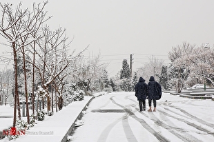 برف و باران میهمان مناطق مختلف کشور/ بارندگی‌ها تا یکشنبه ادامه خواهد داشت