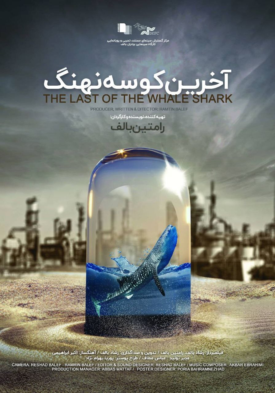 حضور پررنگ مرکز گسترش در جشنواره فیلم فجر/ ۴ مستند در ۴ فضای مختلف