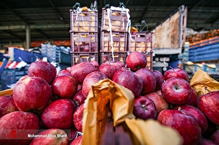 انواع میوه ۴۴ درصد ارزان‌تر از سطح شهر در میادین و بازار‌های میوه و تره‌بار عرضه شد