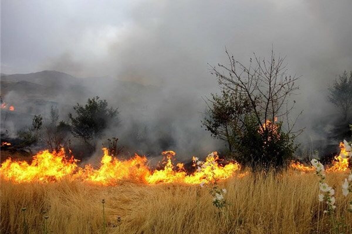 دادستان شوشتر: با کشاورزانی که اقدام به سوزاندن بقایای محصولات می‌کنند برخورد می‌شود