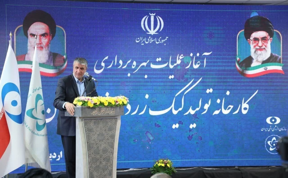 کارخانه تولید کیک زرد در ساغند اردکان به بهره برداری رسید
 
 