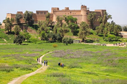 شهر باستانی شوش