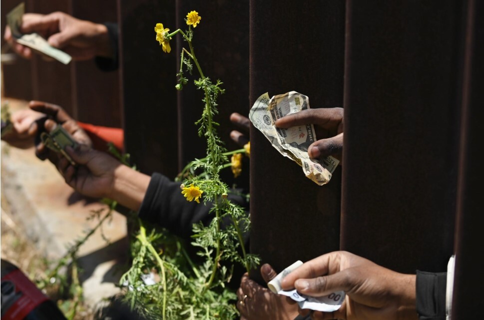 بحران انسانی در مرز آمریکا و جنگ سیاسی در واشنگتن