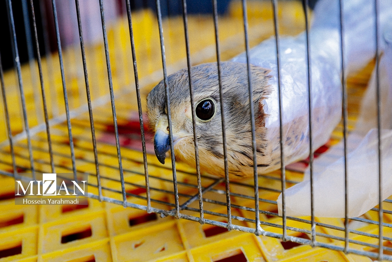 دستیابی به اهداف توسعه پایدار بدون مشارکت خبرنگاران و مردم ممکن نیست دستیابی به اهداف توسعه پایدار بدون مشارکت خبرنگاران و مردم ممکن نیست