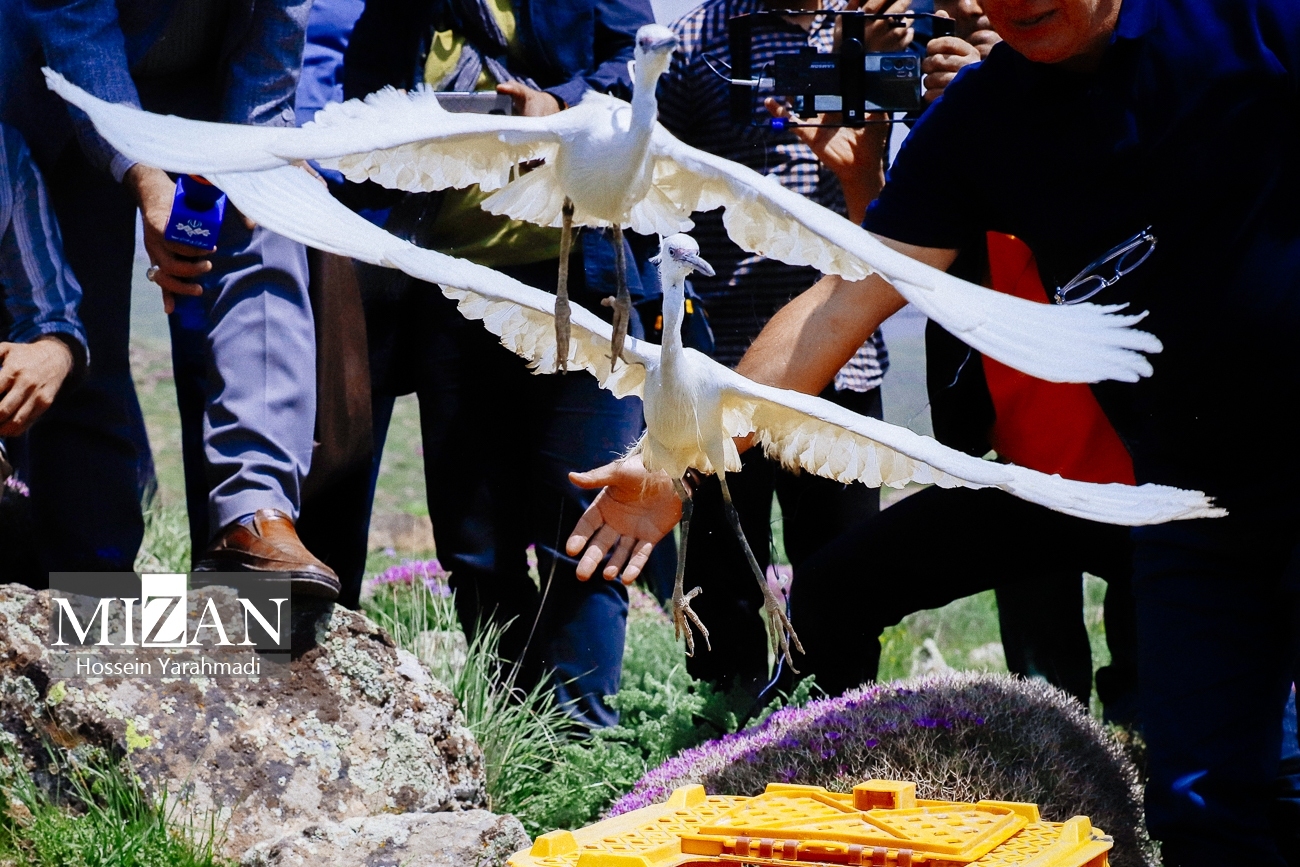 دستیابی به اهداف توسعه پایدار بدون مشارکت خبرنگاران و مردم ممکن نیست دستیابی به اهداف توسعه پایدار بدون مشارکت خبرنگاران و مردم ممکن نیست