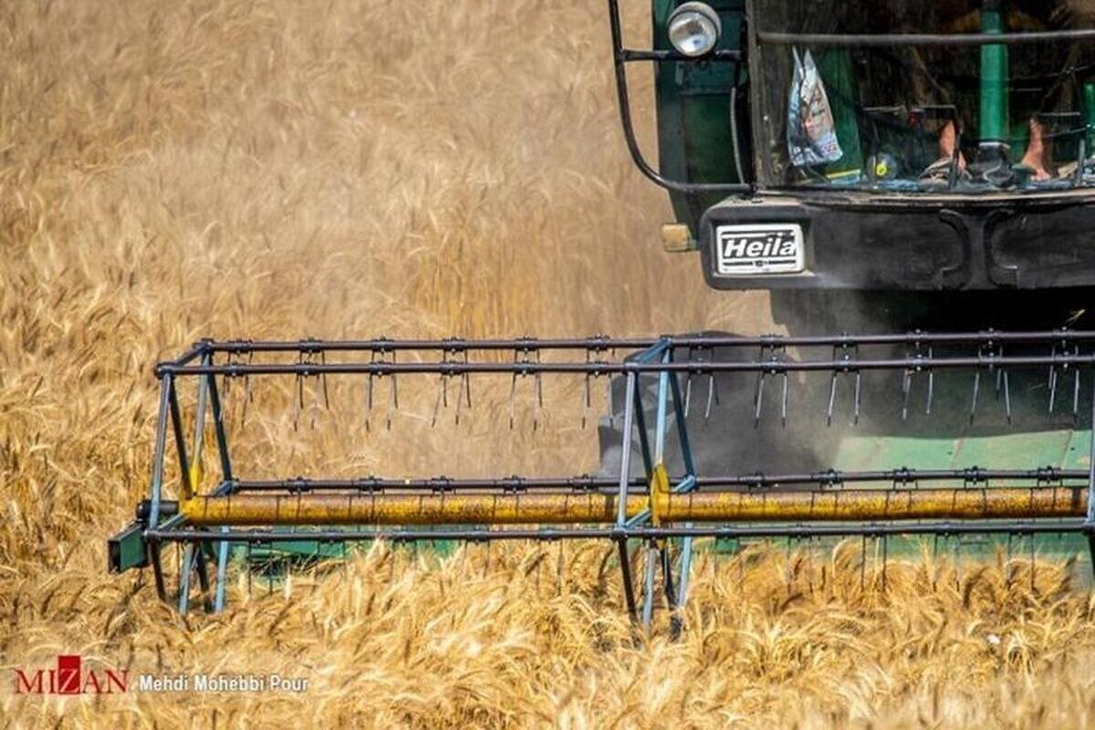 نرخ خرید تضمینی گندم اعلام شد