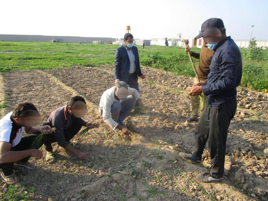در راستای اقدامات راهبردی دستگاه قضا برای جلوگیری از تکرار جرم/ با همت دادگستری استان بوشهر حرفه‌آموزی و ایجاد اشتغال برای یک هزار و ۱۳۰ زندانی استان ممکن شد