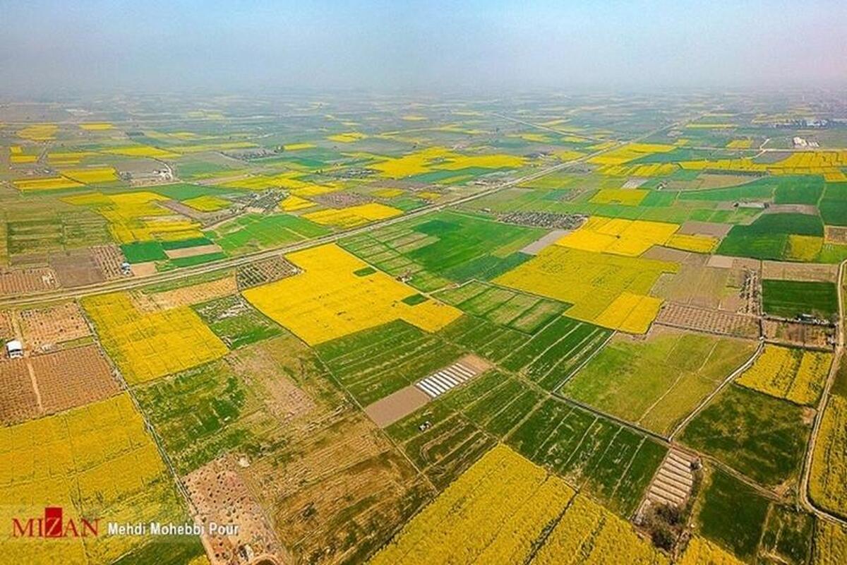 پایش هوشمند اراضی کشاورزی در ۱۵ استان راه‌اندازی شد