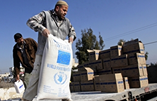 برنامه جهانی غذا به دنبال قطع کامل کمک‌ها به فلسطین