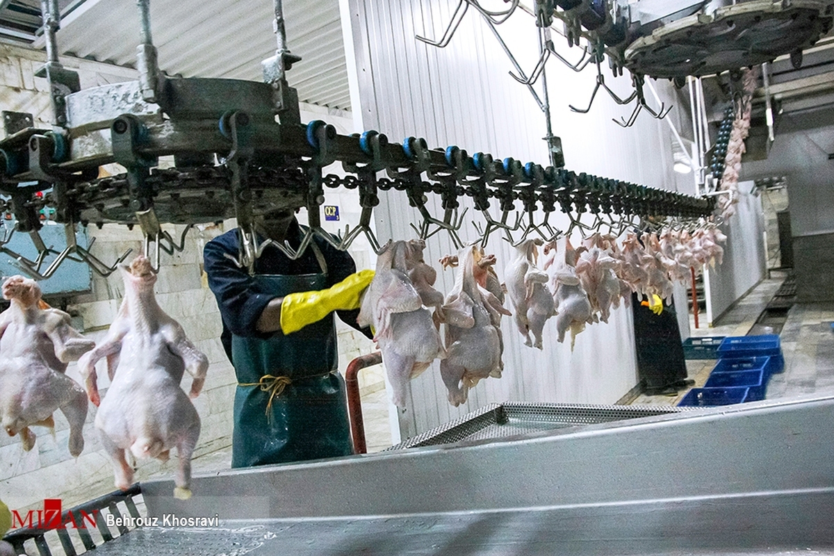 کارخانه بسته‌بندی گوشت و مرغ سحر پروتئین پس از گذشت ۸ سال تعطیلی با حمایت دادگستری استان ایلام مجدداً راه‌اندازی شد