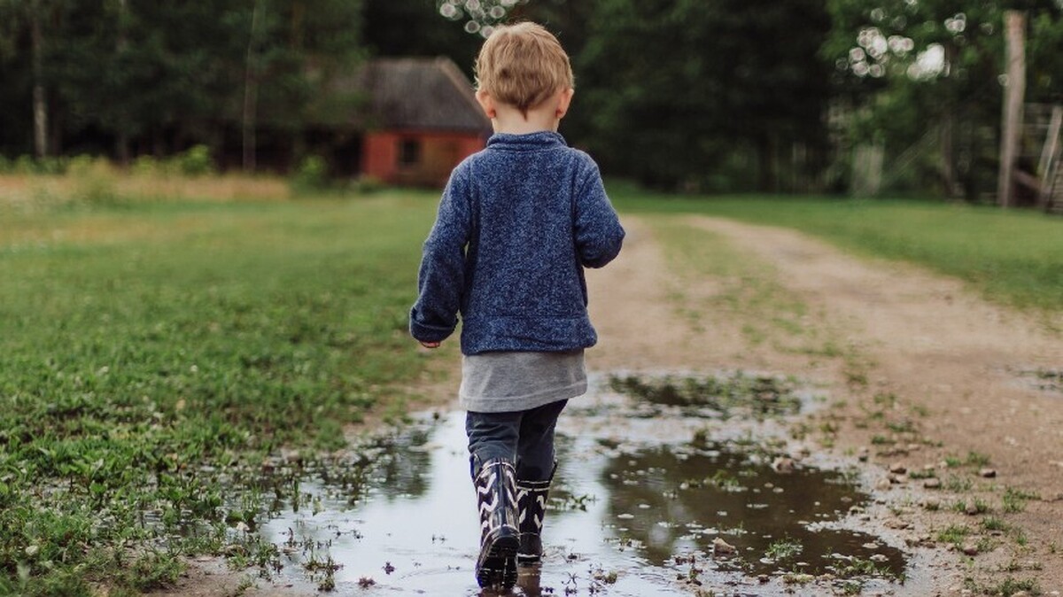 رشد سوءاستفاده و بهره‎کشی جنسی از کودکان در فنلاند