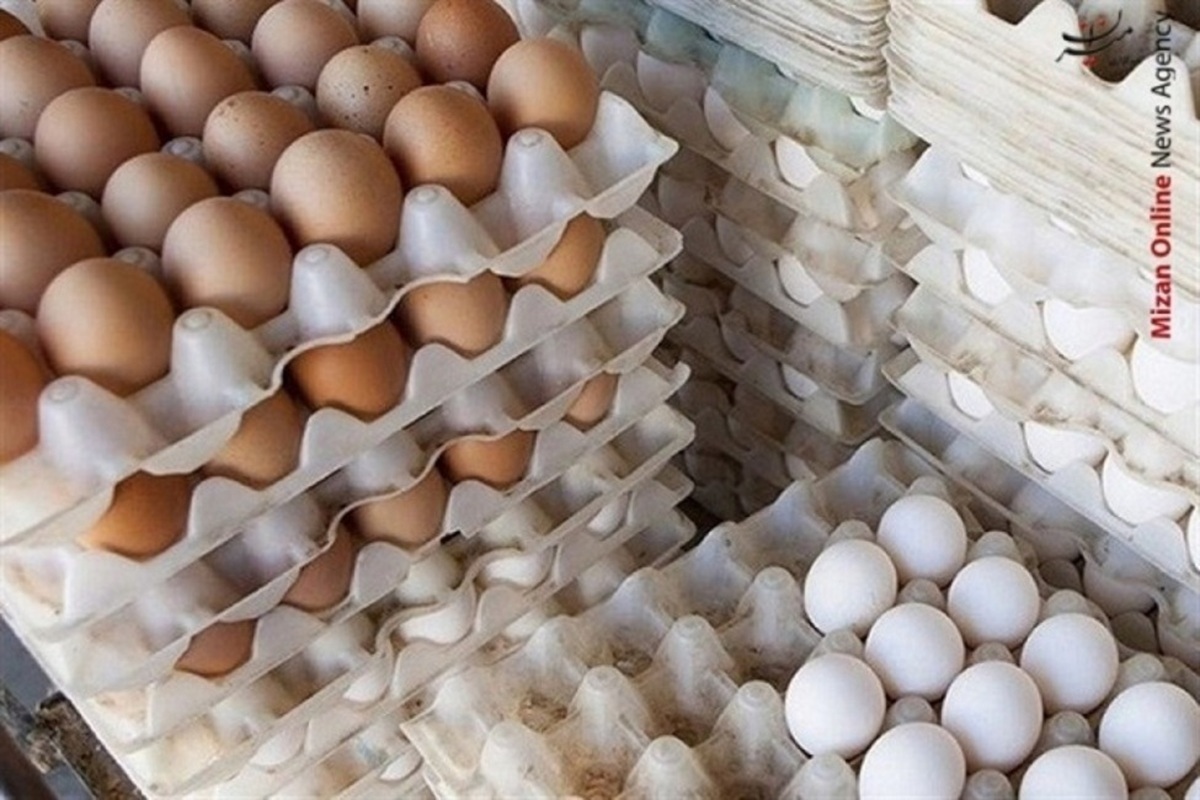 فروش تخم‌مرغ در واحد‌های تولیدی کمتر از نرخ مصوب