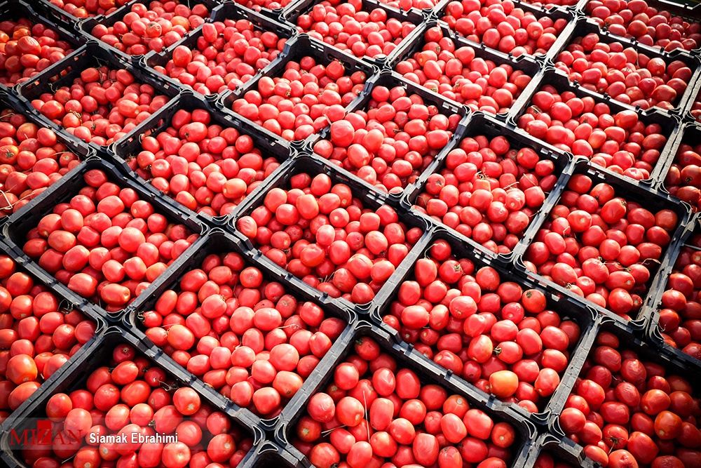 تلاش شبانه روزی دستگاه قضایی برای گردش چرخه تولید و اشتغال کشور/ کمک دادگستری استان گلستان برای رفع مشکل بانکی شرکت صنایع غذایی کامنوش