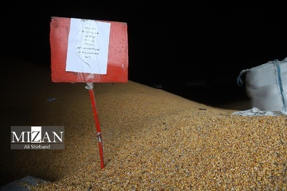 هزاران تن ذرت فاسدشده در بندرامیرآباد که حتی نمی‌توان به دریا ریخت