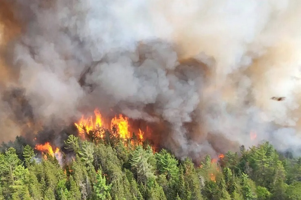 کانادا در محاصره آتش‎سوزی‎های جنگلی/ آلودگی هوا به نروژ رسید