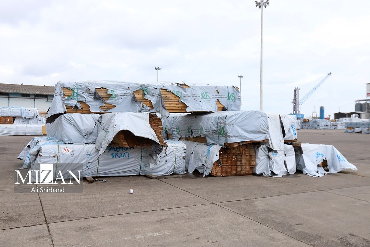 عدم تخصیص به‌موقع ارز، موجب رسوب کالا در انبار‌های بنادر و گمرکات شده است