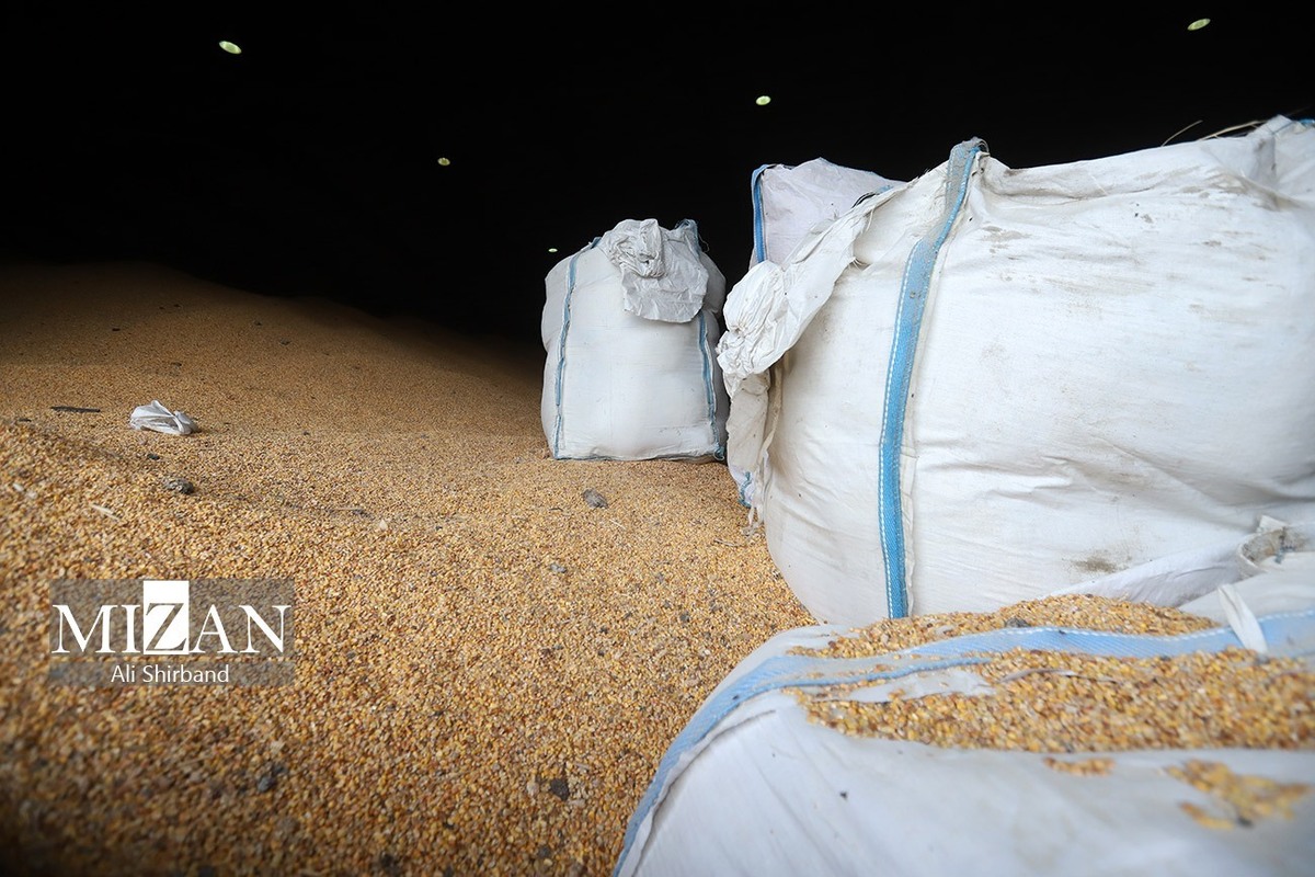 دلایل عدم ترخیص به‌موقع کالا‌ها از گمرکات؛ از ناهماهنگی دستگاه‌های ذی‌ربط تا متغیربودن قوانین