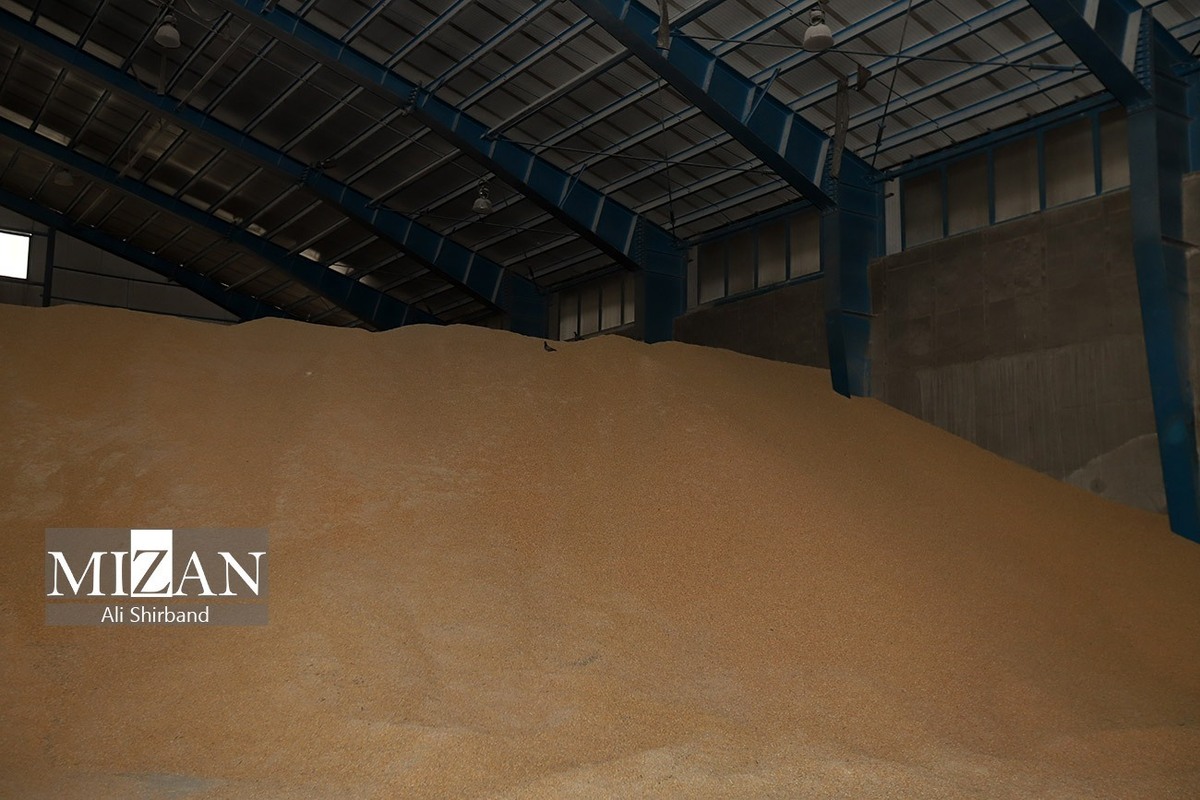 ترخیص و تخلیه محموله ۲ هزار و ۹۰۰ تنی ذرت فاسد از بندر امیرآباد