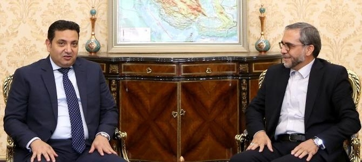 توسعه همکاری‌های ایران و مصر به سود منطقه و اسلام است