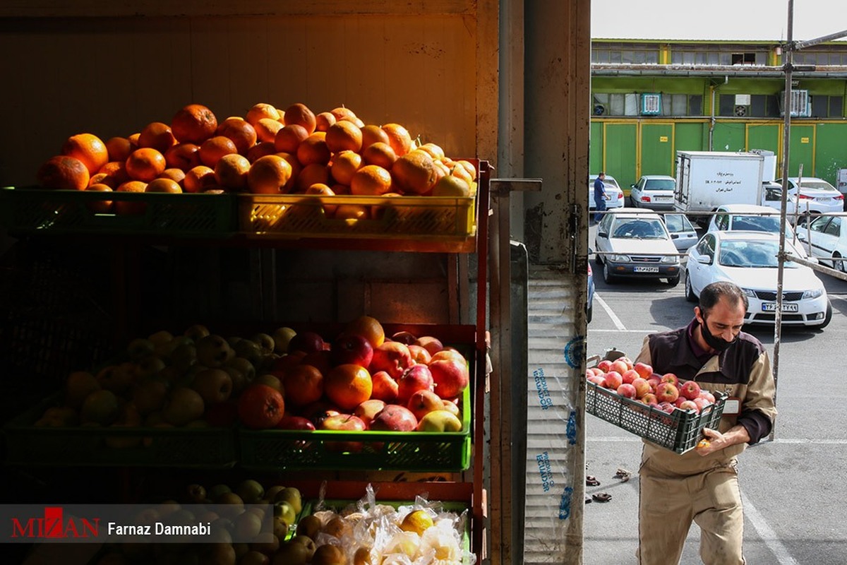 قیمت انواع میوه در میادین و میوه و تره‌بار ۳۸ درصد ارزان‌تر از سطح شهر است