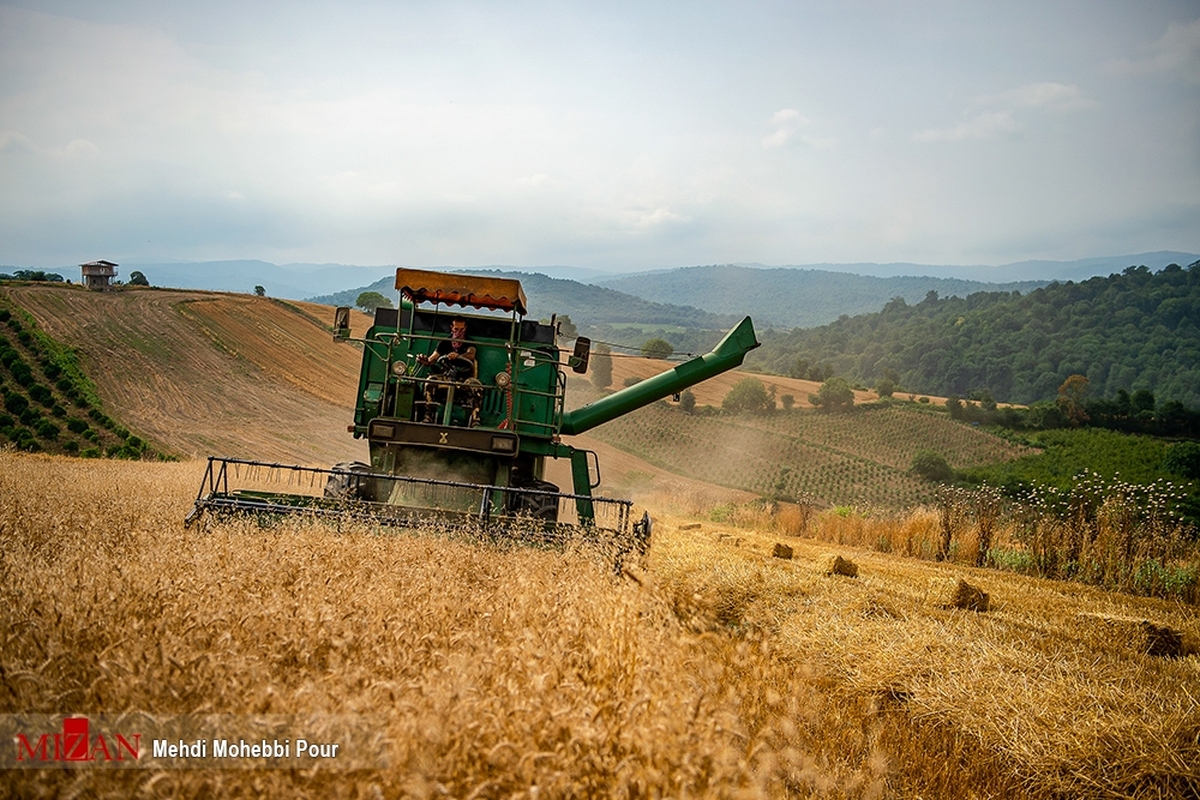 دادستان بشرویه جهت برخورد با متخلفان خرید گندم دستور داد