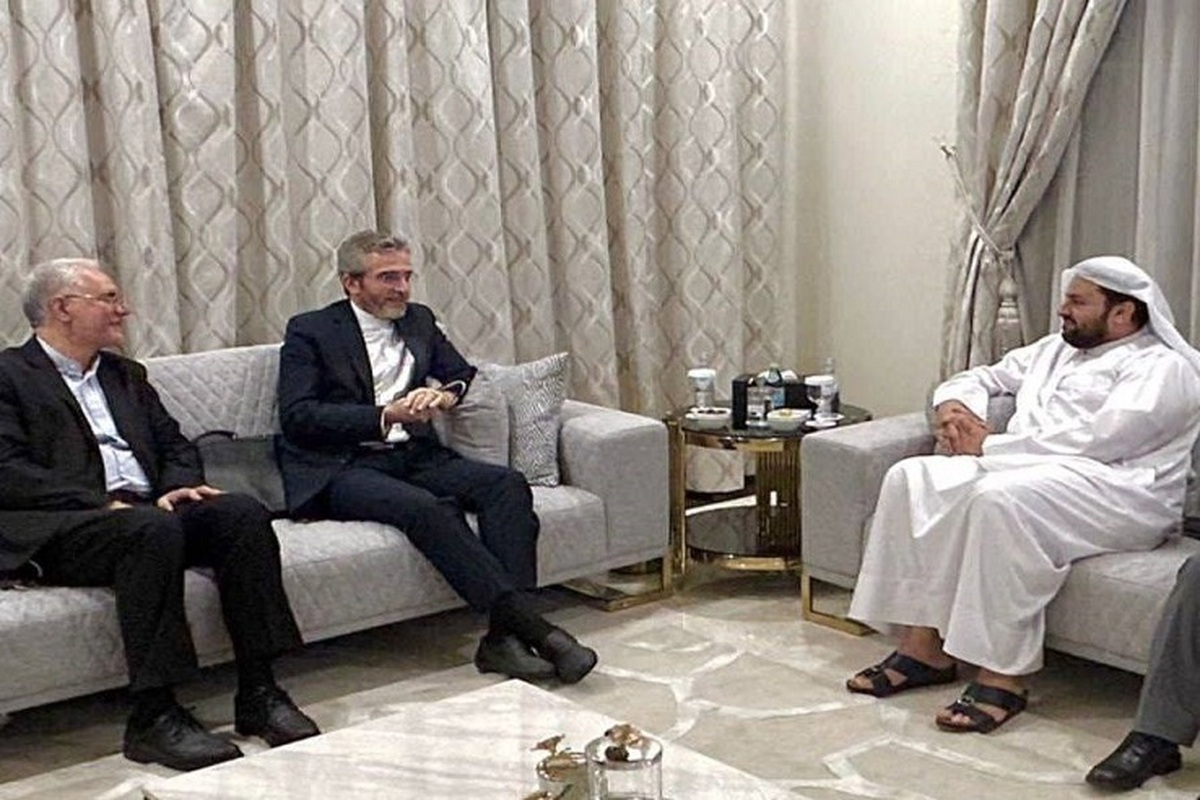 باقری: صلح و ثبات پایدار در گرو توسعه و پیشرفت در کشور‌های منطقه است