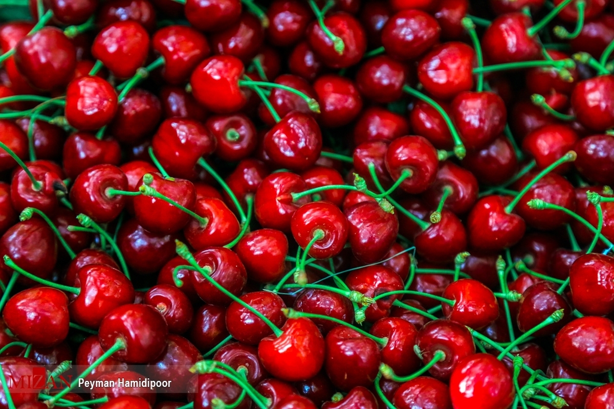 خواص میوه‌های تابستانی؛ از کاهش خطر سکته مغزی تا کند شدن روند پیری