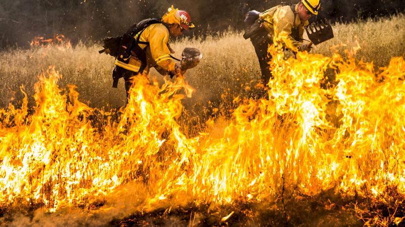 کشته شدن ۲ آتش‌نشان در آتش‌سوزی‌های کانادا/ هجوم دود آتش‌سوزی‌ها به شمال آمریکا