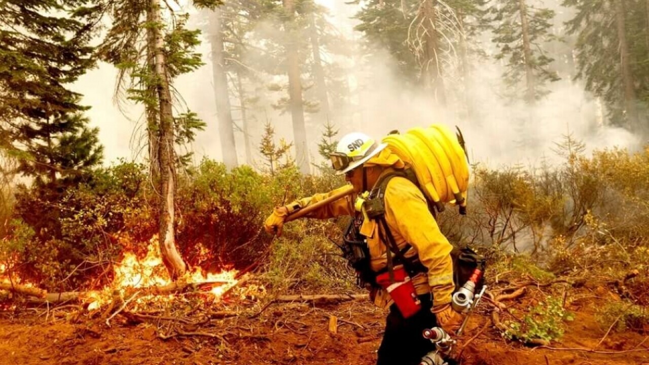 کشته شدن ۲ آتش‌نشان در آتش‌سوزی‌های کانادا/ هجوم دود آتش‌سوزی‌ها به شمال آمریکا