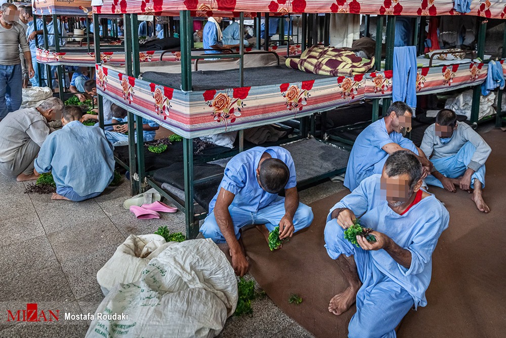 گزارش عملکرد زندان کردستان/۲۷۲ اشتغال نشسته، ۴۰۳ اشتغال کارگاهی و ۵۵۳ اشتغال اعزام بکار برای مددجویان استان کردستان ایجاد شد/ ۳۵ مددجو در کارگاه معرق کاری زندان مرکزی سنندج مشغول به کارند
