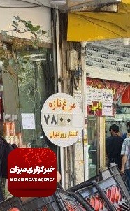 کاهش قیمت مرغ؛ شایعه یا واقعیت؟