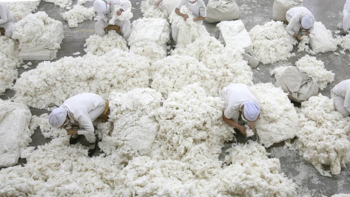 سمت تاریک صنعت مُد؛ غیر انسانی و ضد بشری