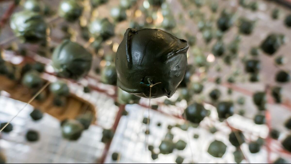 استفاده از سلاح شیمیایی و بمب‎های خوشه‎ای؛ میراث آمریکا در ویتنام و اوکراین