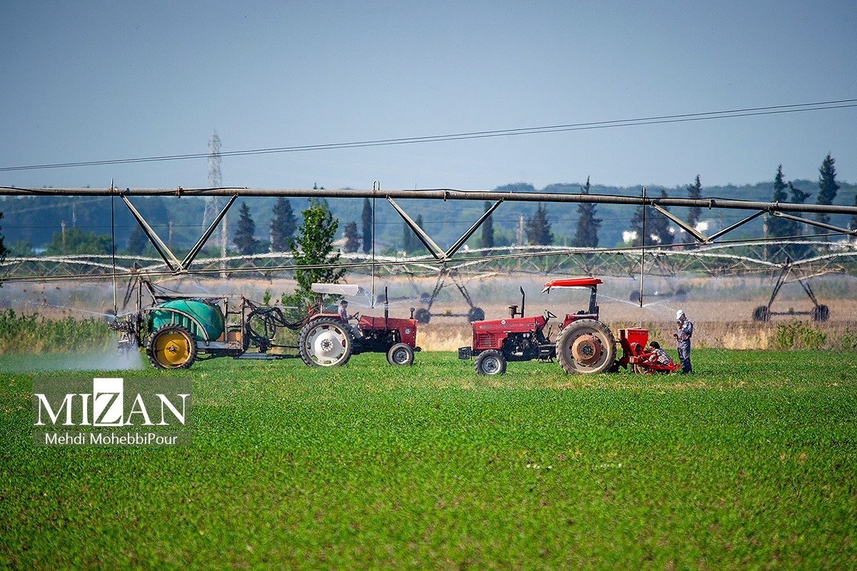  دادستان شهرستان عنبرآباد: باید از فروش بذر و کود‌های تقلبی در جنوب استان کرمان جلوگیری شود
