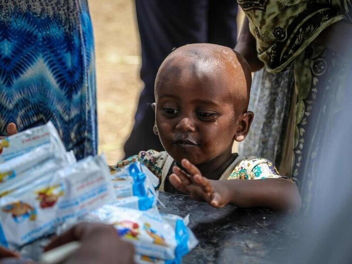 شبح گرسنگی در جهان؛ سازمان ملل درباره وخامت بحران غذایی هشدار داد
