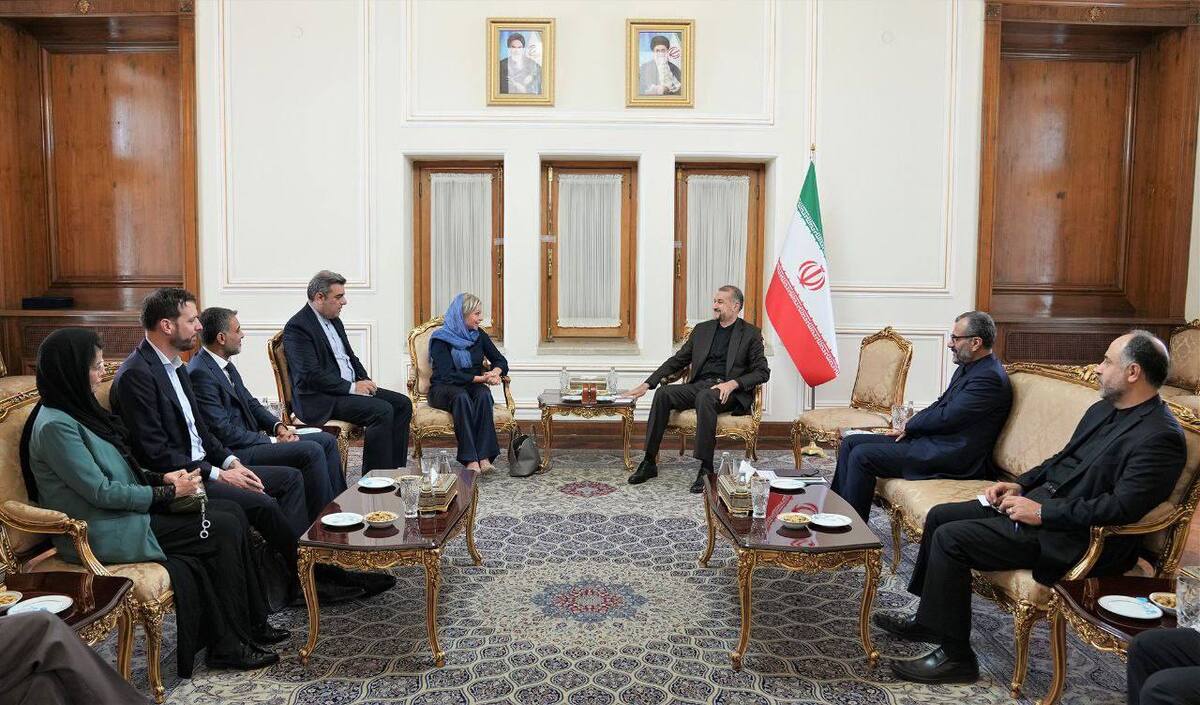 دیدار پلاسخارت با وزیر امور خارجه/امیرعبداللهیان: مناسبات ایران و عراق قوی و گسترده است