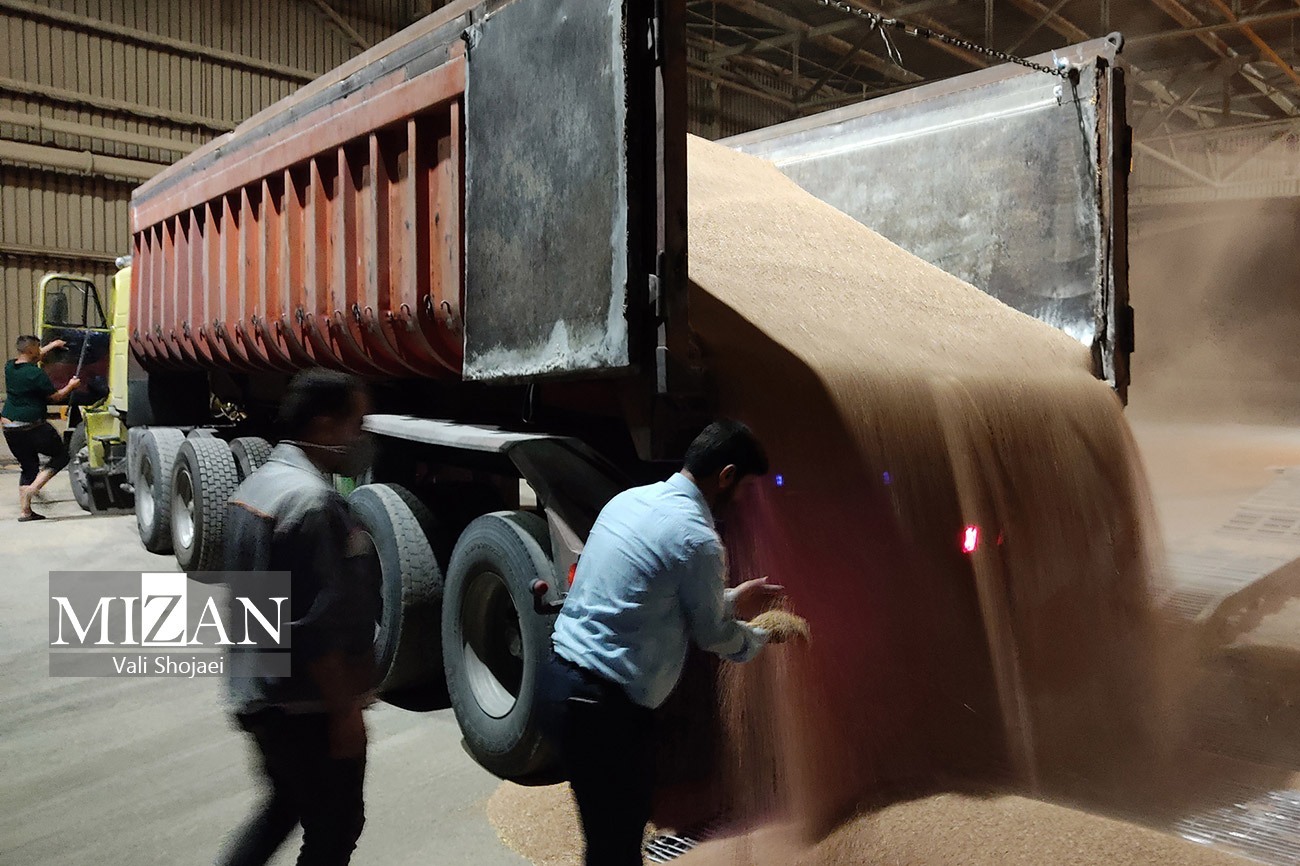 عزم جزم قوه قضاییه و دولت برای خشکاندن ریشه‌های یک فساد مزمن/ قصه پرغصه نهاده‌های ارزبری که فاسد می‌شوند!/ با دستور قضایی ۱۳ هزار تن نهاده استراتژیک در معرض فساد در همدان تعیین تکلیف شد