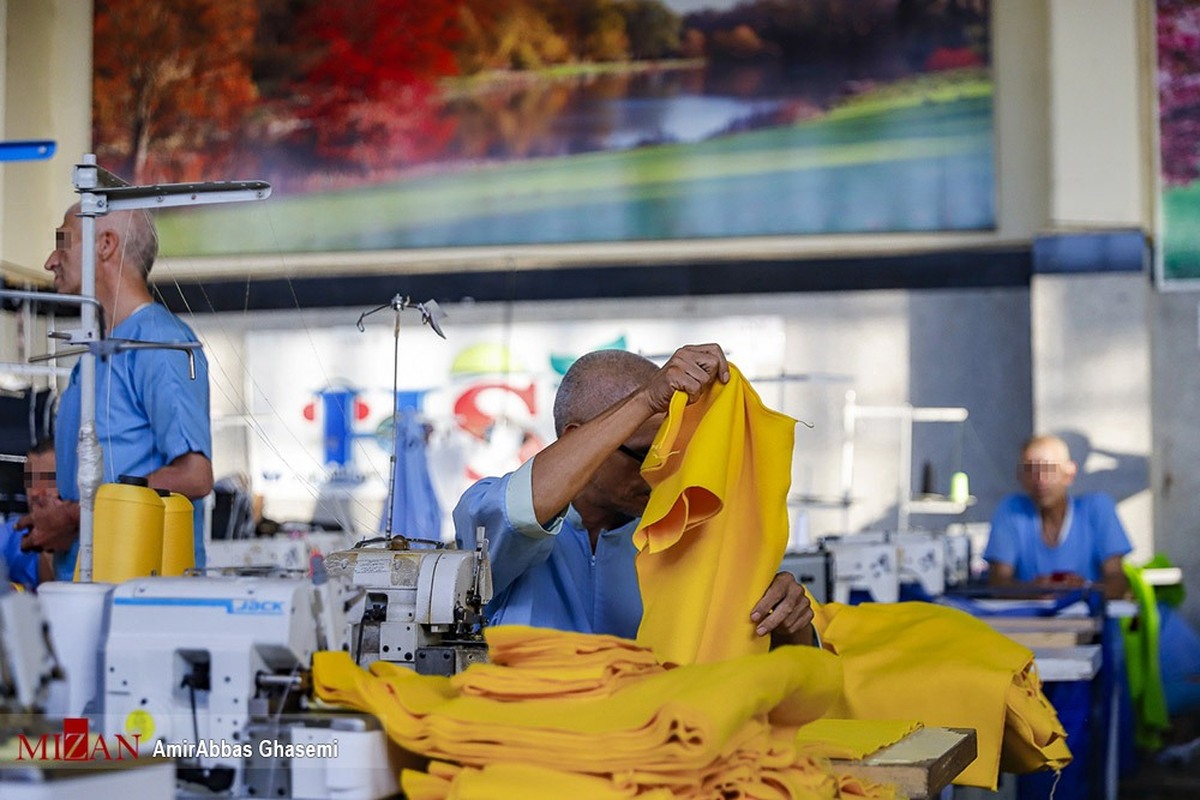 راه‌اندازی مراکز مهارت‌آموزی معتادهای متجاهر/ تصویب کلیات لایحه پیشگیری از آسیب‌دیدگی زنان/جذب ۵۰ هزار بازمانده از تحصیل