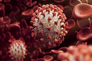 نگرانی‌های جهانی از افزایش مبتلایان به ویروس کووید-۱۹