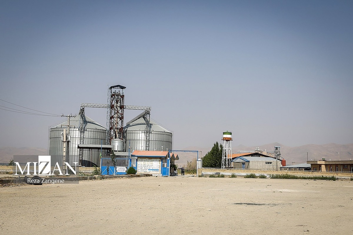 ذرت‌های آلوده؛ اسنادی که قوه قضاییه از زیرمجموعه‌های وزارت جهاد کشاورزی منتشر کرد